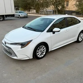 Toyota Corolla 2020