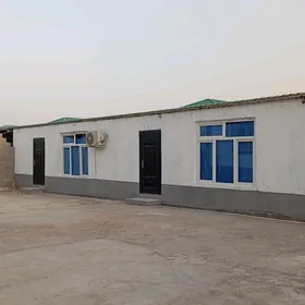 Taze zaman arenda