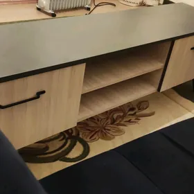 diwan troyka  pastawka tlwizr