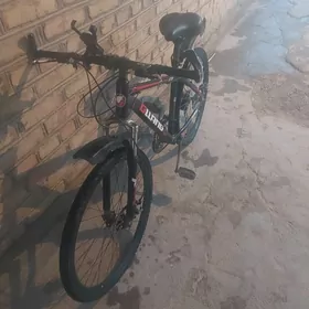 Sport welik