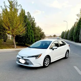 Toyota Corolla 2022