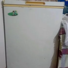 моразилник