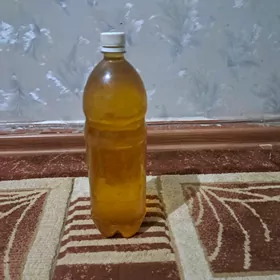 кунжи ягы