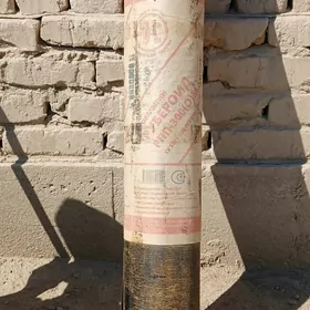 Rossiýa gara kagyzy