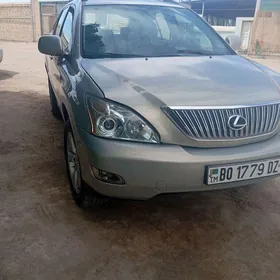 Lexus RX 330 2004