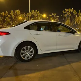 Toyota Corolla 2021