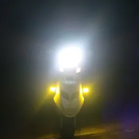 skutrskutr