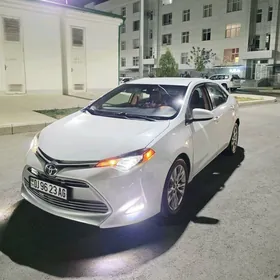Toyota Corolla 2019
