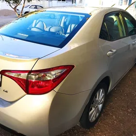 Toyota Corolla 2013