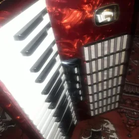 akkordeon аккордеон