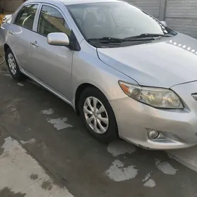Toyota Corolla 2008