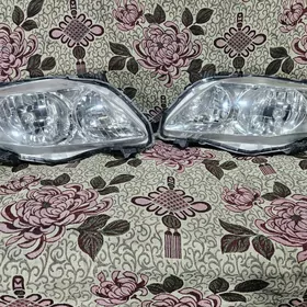 Carolla fara