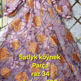 Saltyk koynek