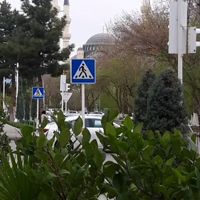 gämi köne гами