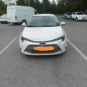 Toyota Corolla 2020