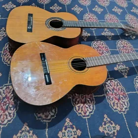 gitara