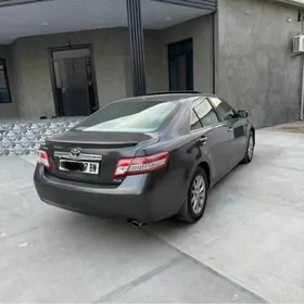 Toyota Camry 2010
