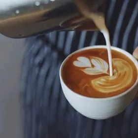 Бариста Barista