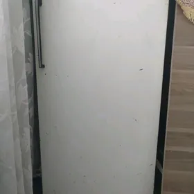 Бирюса