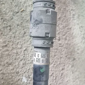 Aziyada kamry granat