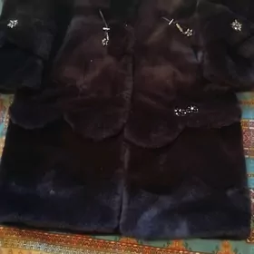 Şuba
