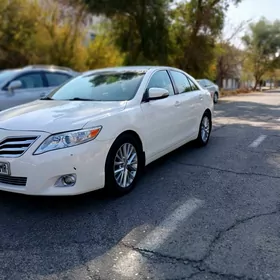 Toyota Camry 2010