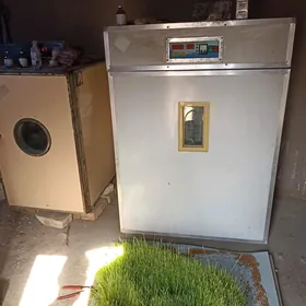 Incubator