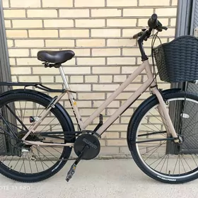 Yapon velik 27,5