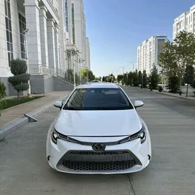 Toyota Corolla 2021