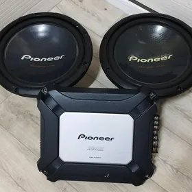Pioneer Bocka, Usulitel