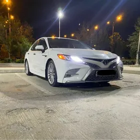 Toyota Camry 2019