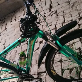 спорт мастер