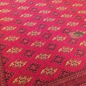 haly 3x4 metr Belgiya