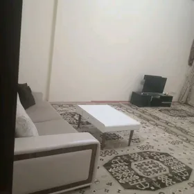 АРЕНДА ЭЛИТКИ