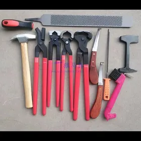 Atyn nalynyn enjamlary