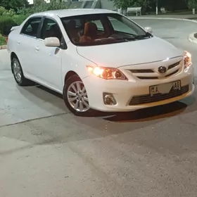 Toyota Corolla 2010