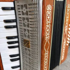 akkordeon