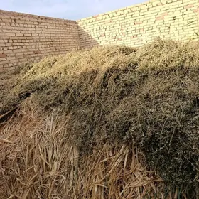 маллар учин от