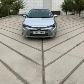 Toyota Corolla 2024