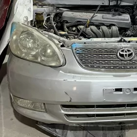 korolla fara morda