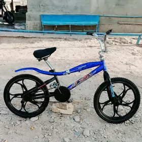 tigir 20lik dugaly