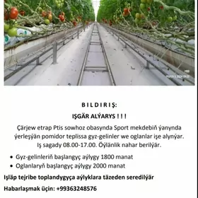 Teplissa oglan gerek