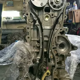 Nissan sentra mator zapcas