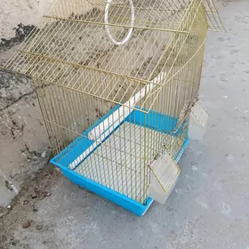kletka, клетка