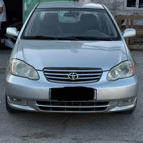 Carolla far komplekt