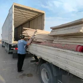 şafyor gerek forland sürmeli