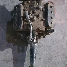 tapynoy