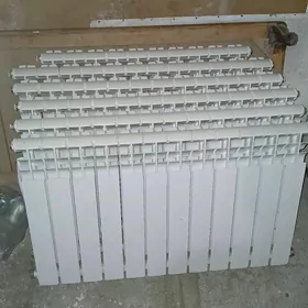 TūbaTürk battereý