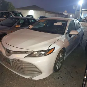 Toyota Camry 2020