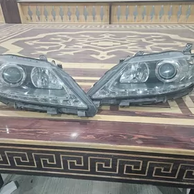 Lexus fara onki morda